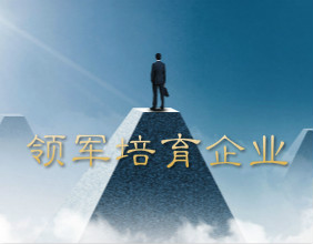 2020年天津市科技領(lǐng)軍(培育)企業(yè)